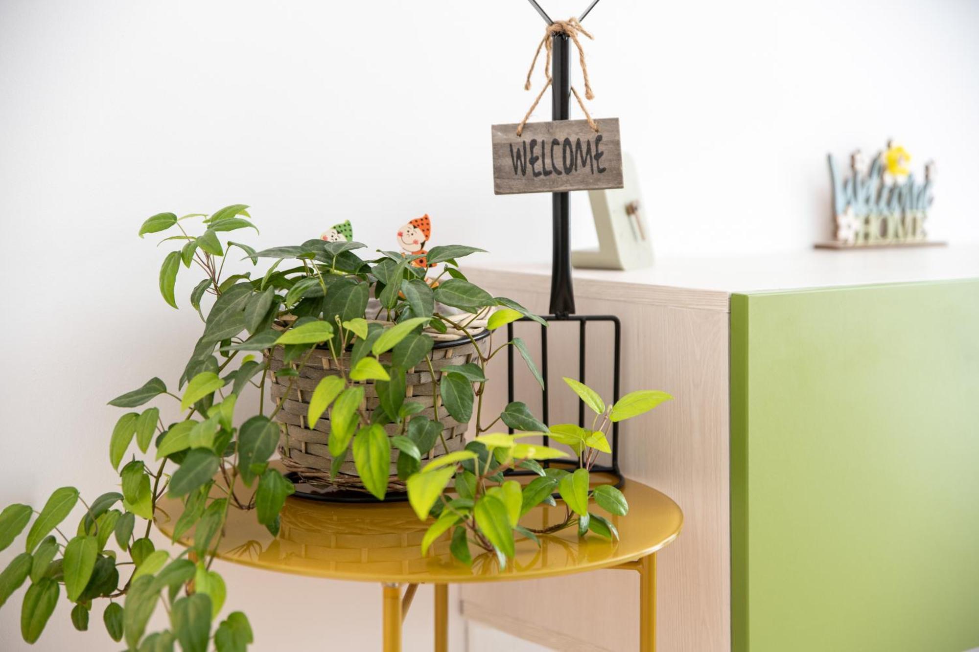 Springhome - Cozy Apartment With Balcony & Parking Брашов Екстер'єр фото