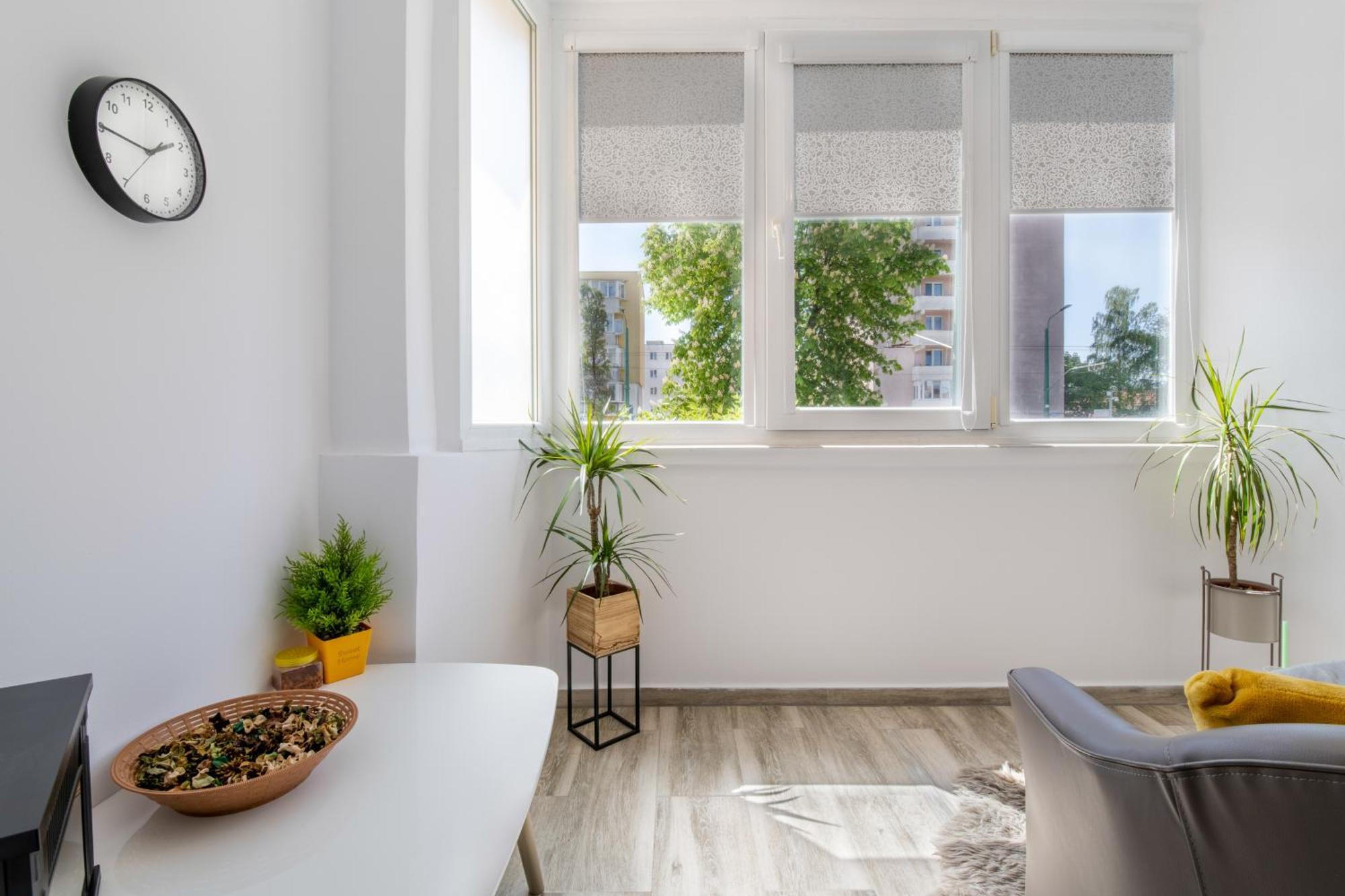 Springhome - Cozy Apartment With Balcony & Parking Брашов Екстер'єр фото